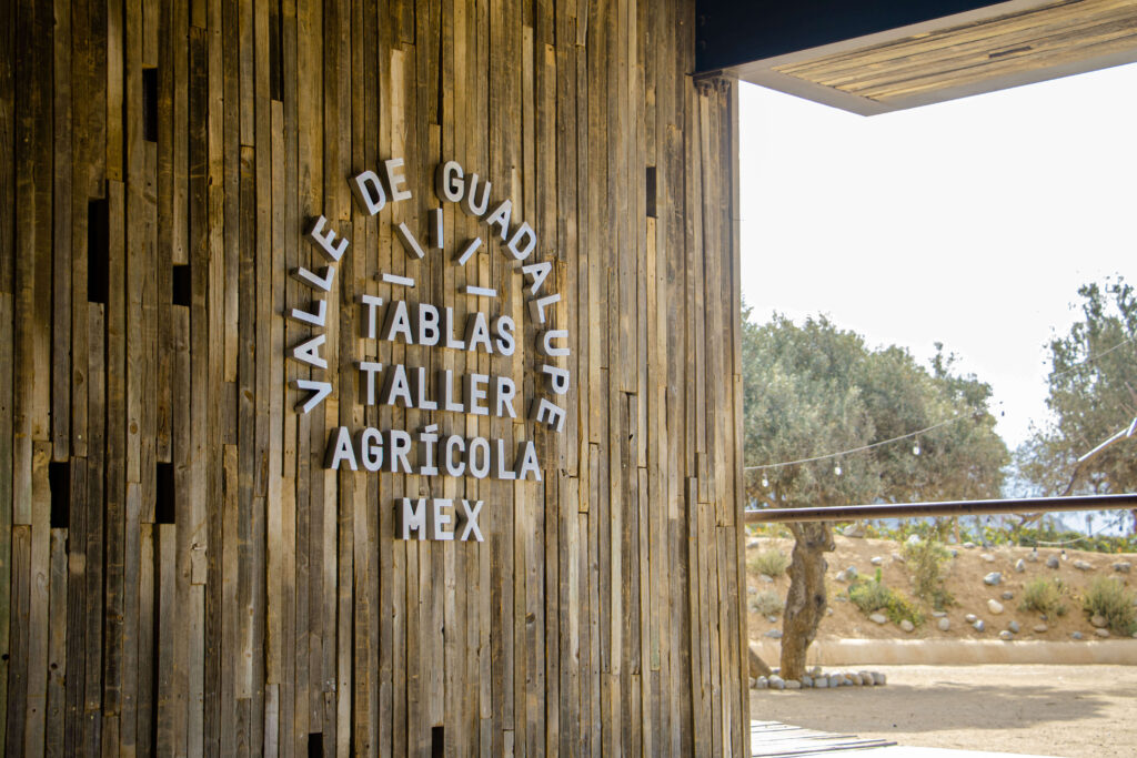 Vinos tablas viñedo