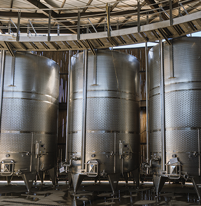 Vinos tablas viñedo