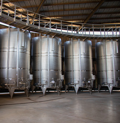 Vinos tablas viñedo